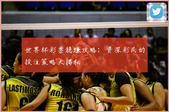 世界杯彩票稳赚攻略:资深彩民的投注策略大揭秘