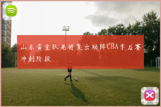 山东黄金队老将复出助阵CBA季后赛冲刺阶段