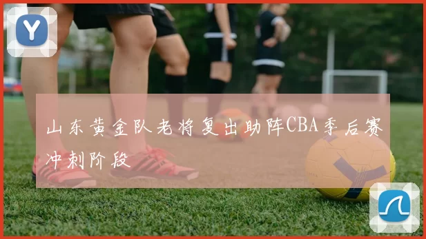 山东黄金队老将复出助阵CBA季后赛冲刺阶段