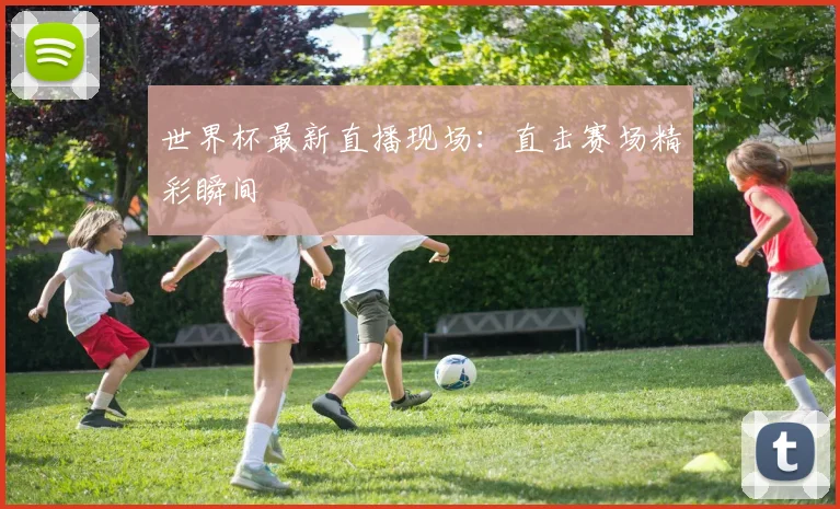 世界杯最新直播现场：直击赛场精彩瞬间