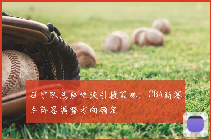辽宁队总经理谈引援策略:CBA新赛季阵容调整方向确定