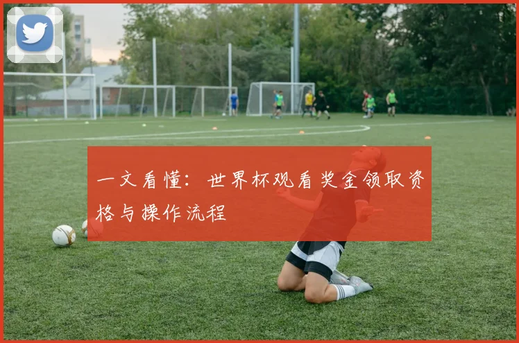 一文看懂:世界杯观看奖金领取资格与操作流程