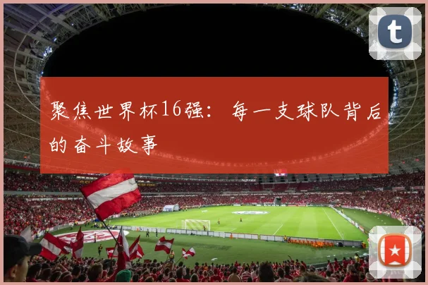 聚焦世界杯16强:每一支球队背后的奋斗故事