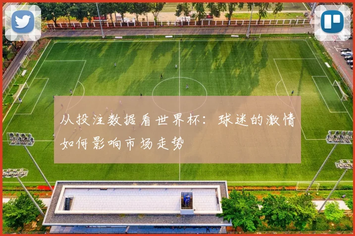 从投注数据看世界杯：球迷的激情如何影响市场走势