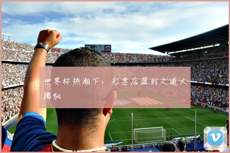 世界杯热潮下,彩票店盈利之道大揭秘