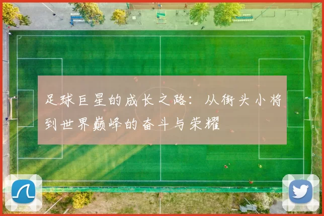 足球巨星的成长之路：从街头小将到世界巅峰的奋斗与荣耀