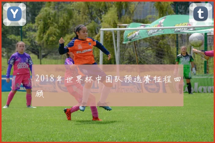 2018年世界杯中国队预选赛征程回顾